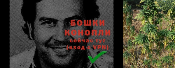 гидра Волосово