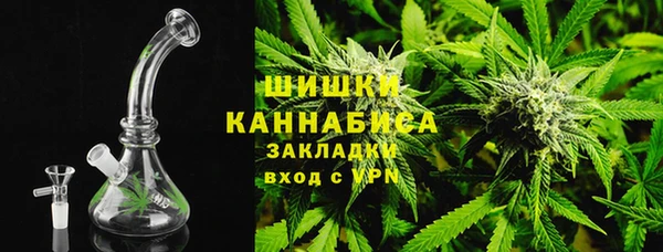 ГАЛЛЮЦИНОГЕННЫЕ ГРИБЫ Верхний Тагил