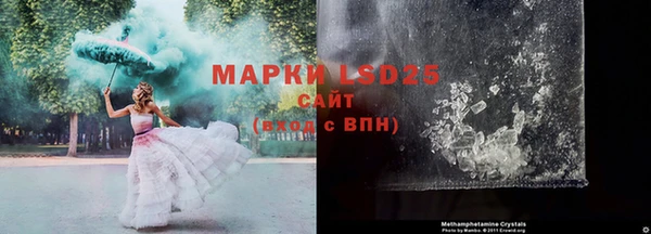 ГАЛЛЮЦИНОГЕННЫЕ ГРИБЫ Верхний Тагил